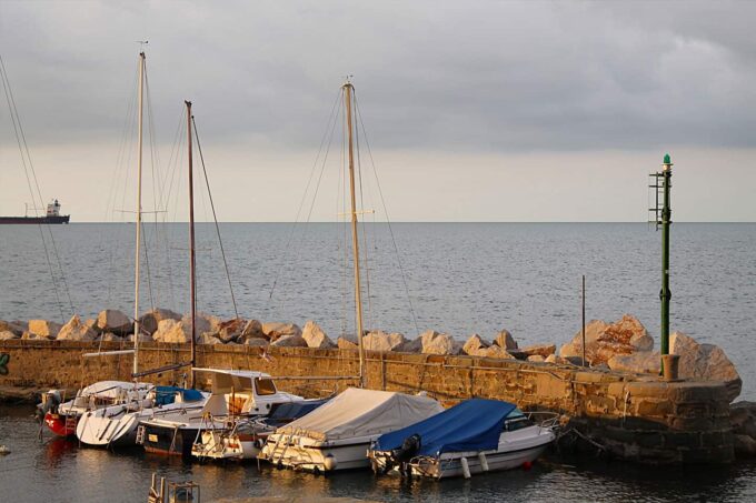 Cultuur: Haven, Triëst