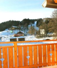 Vakantie villa Chalet Underhill