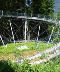 Avontuur: Zomerrodelen in Lienzer Schlossberg