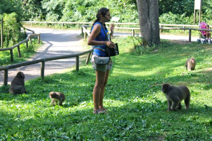 Dierenpark: apenpark Affenberg