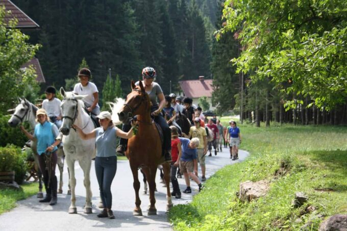 Horse riding: Riding school Schneider